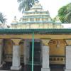 srikurmam_temple_7