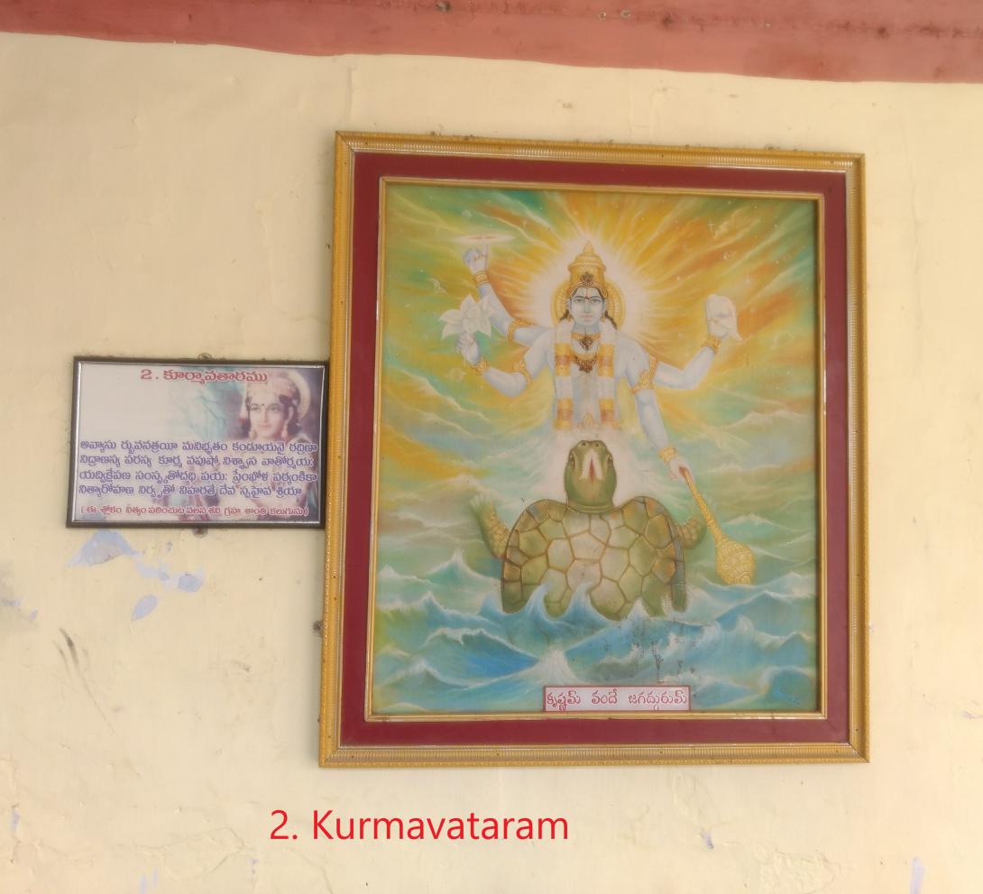 kurmavatar