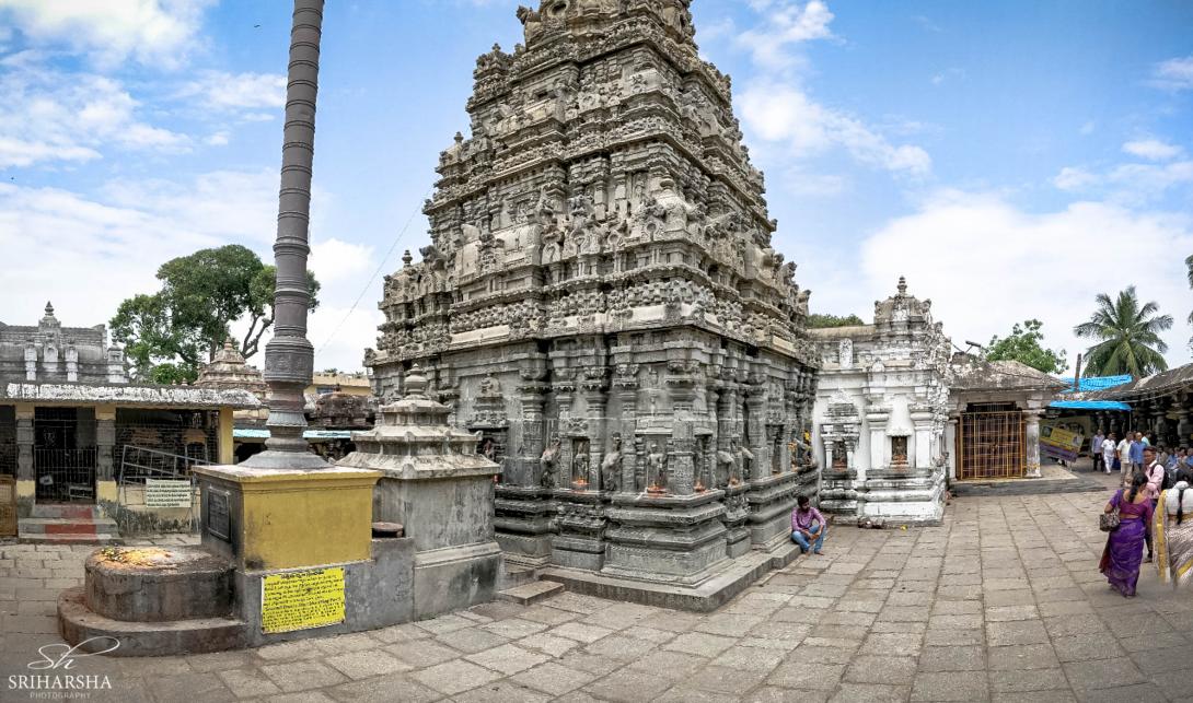 Temple Gallery Photo#6